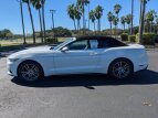 Thumbnail Photo 6 for 2017 Ford Mustang